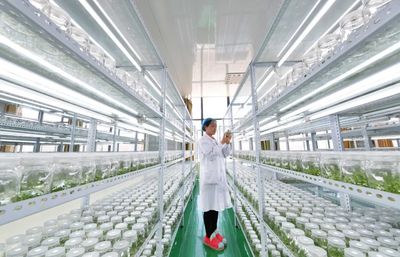 【盟市動態】從一粒種子到一片產業