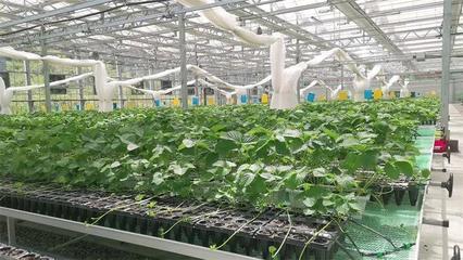 貴陽農業農墾投資發展集團網站