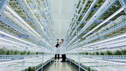 中國·山丹-打造創新引擎 釋放發展動能--山丹縣以科技創新助推經濟高質量發展紀實