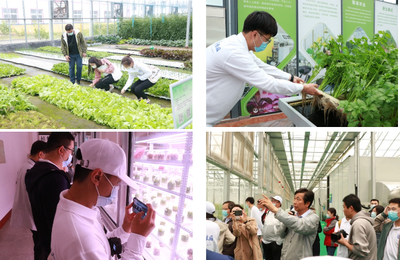 中國農業大學新聞網 綜合新聞 “夢園壽光 以藝報國”園藝學院開展百名研究生壽光行活動