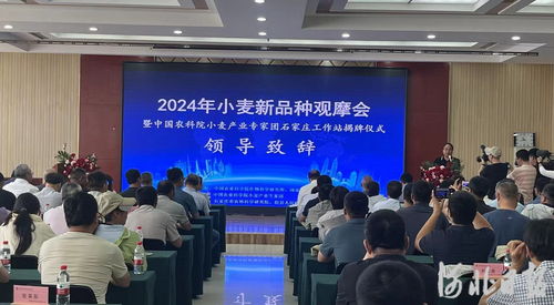 河北唯一 中國農業科學院小麥產業專家團石家莊工作站揭牌鳳凰網河北 鳳凰網