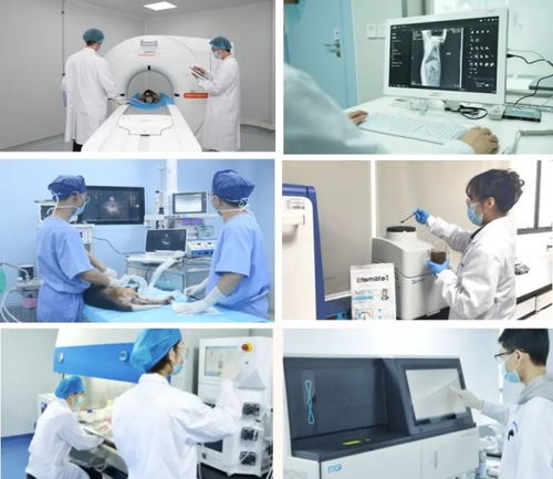 贛州大健康寵物科學研究院 以科技創新引領寵物產業高質量發展