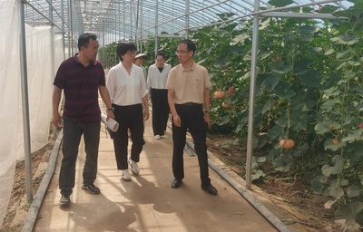 市科協調研指導高臺縣科技小院和科普小院建設工作