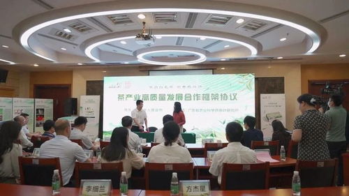 4月24日,樂昌白毛茶區域公共品牌亮相