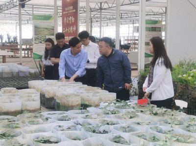 花溪區委常委、組織部部長張楠一行來院調研座談