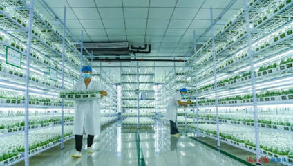 這組鏡頭,帶你看自貿潮頭海口如何乘風破浪