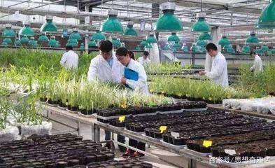 綜合性大學(xué)紛紛設(shè)立農(nóng)學(xué)院,曾經(jīng)不受大家待見(jiàn),如今卻發(fā)展火熱