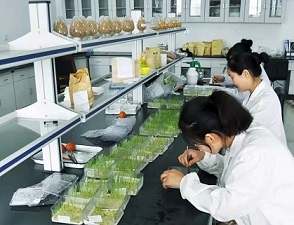 中農(nóng)立華董事長(zhǎng)蘇毅:實(shí)現(xiàn)"種子+農(nóng)藥"業(yè)務(wù)協(xié)同發(fā)展