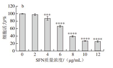 食品科學(xué) 河北農(nóng)業(yè)大學(xué)王向紅教授等 蘿卜硫素對(duì)結(jié)腸癌細(xì)胞侵襲和轉(zhuǎn)移的影響