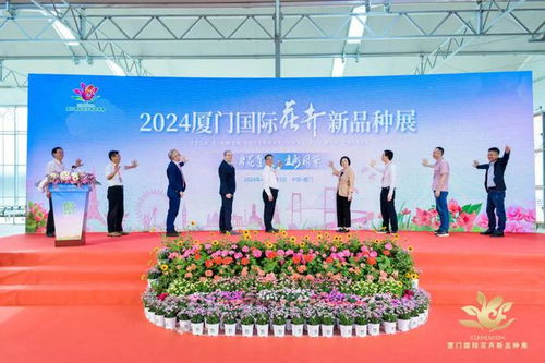 全球唯一,就在廈門