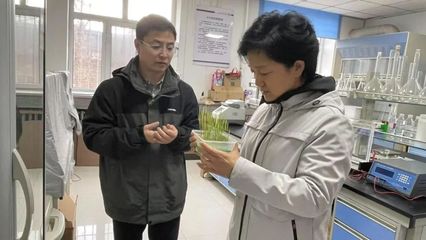 精準謀劃區域農業創新,科技賦能共話振興發展丨省農科院黨組書記、院長陳宇輝赴齊齊哈爾宣講全國兩會精神并調研