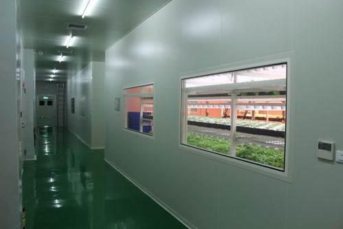 只要這樣做,在鋼筋混凝土的城市里也能再現 田園風光