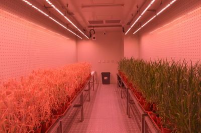 “創新谷”勾勒中部地區高質量發展新畫卷