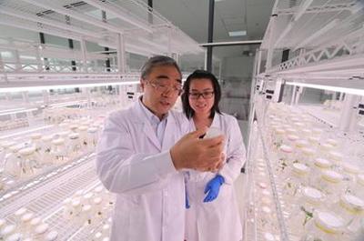 5·30來啦!河南科技工作者們有話說