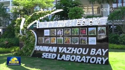 新思想引領(lǐng)新征程 攥緊中國種子 端穩(wěn)中國飯碗——農(nóng)業(yè)科學(xué)研究和試驗(yàn)發(fā)展的戰(zhàn)略意義