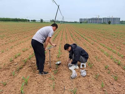 我國初步構建農業農村長期因子觀測網 推動農業科研與發展實現新突破