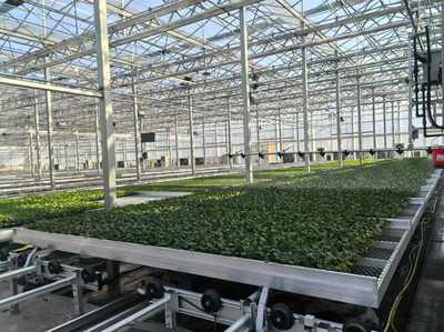 科創(chuàng)與農(nóng)創(chuàng)融合，助力村民好產(chǎn)品賣好價(jià)錢