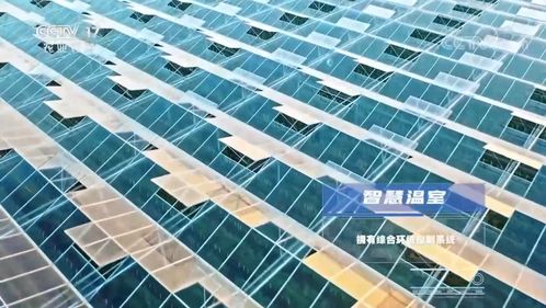 大國糧策 高科技引領(lǐng)農(nóng)業(yè)生產(chǎn)邁入科幻新時(shí)代