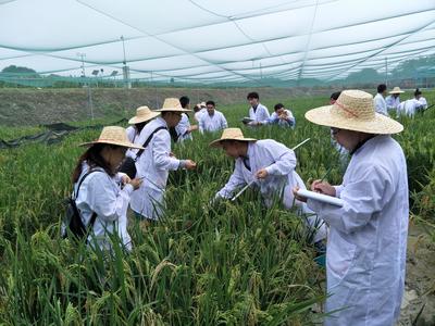 農(nóng)業(yè)農(nóng)村部科技發(fā)展中心 推動(dòng)農(nóng)業(yè)科學(xué)研究和試驗(yàn)發(fā)展的核心引擎