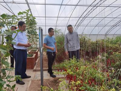 隴東學(xué)院與農(nóng)科院攜手推動(dòng)農(nóng)業(yè)科技創(chuàng)新——黨委委員、副院長馬悅寧到市農(nóng)科院調(diào)研指導(dǎo)工作