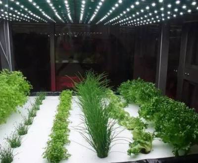 植物工廠 設(shè)施農(nóng)業(yè)的最高級(jí)階段與農(nóng)業(yè)科研試驗(yàn)發(fā)展