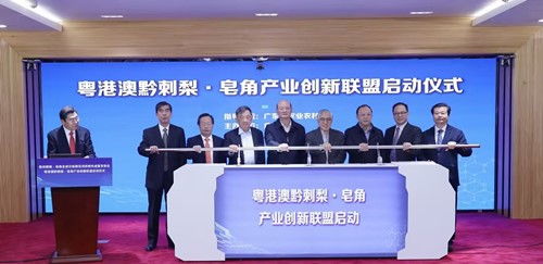 粵港澳黔刺梨與皂角產(chǎn)業(yè)創(chuàng)新聯(lián)盟在廣州啟動(dòng)，推動(dòng)農(nóng)業(yè)科研與試驗(yàn)發(fā)展