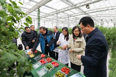 省農業農村廳副廳長曹麗虹一行赴我院溧水基地調研設施農業與智慧農業建設